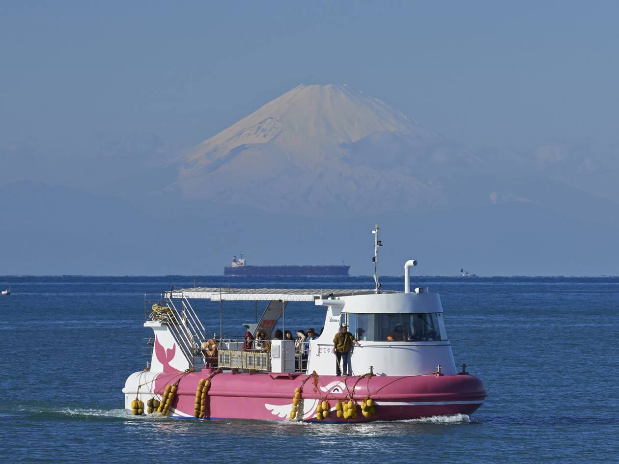 海中観光船 たてやま号 ぶらっとboso