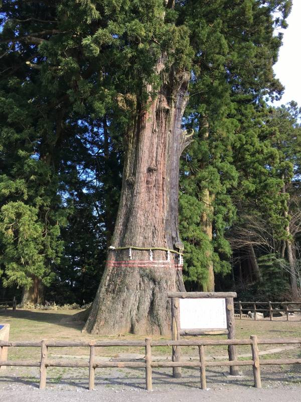 日蓮宗 大本山 清澄寺