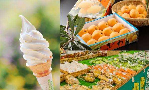 一般社団法人 南房総市観光協会