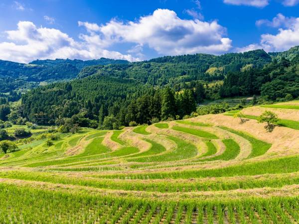 鴨川観光プラットフォーム