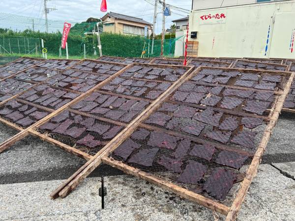 鯨肉･くじらのたれの老舗 ハクダイ食品
