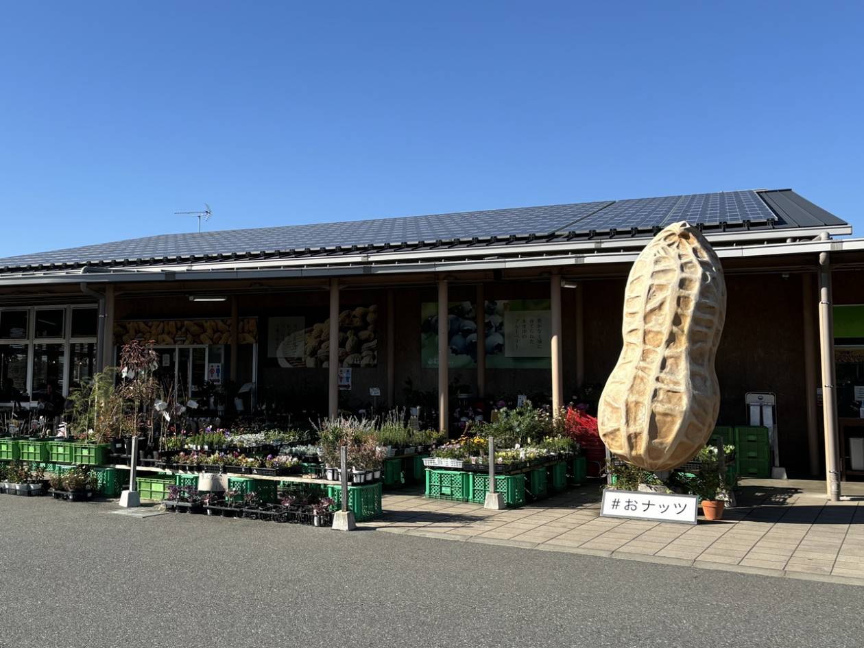 木更津うまくたの里
