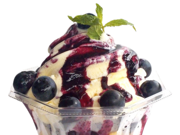 ブルーベリーつみとり園 のらりくらり