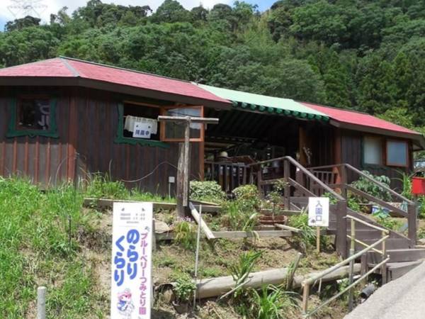 ブルーベリーつみとり園 のらりくらり