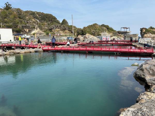 太海フラワー磯釣りセンター