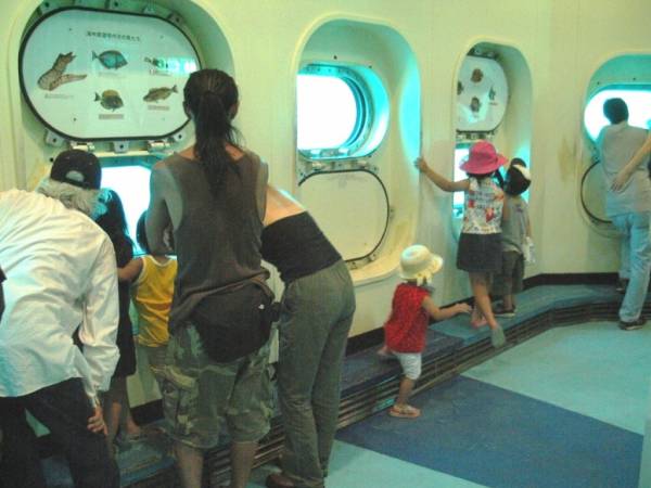 かつうら海中公園　海中展望塔