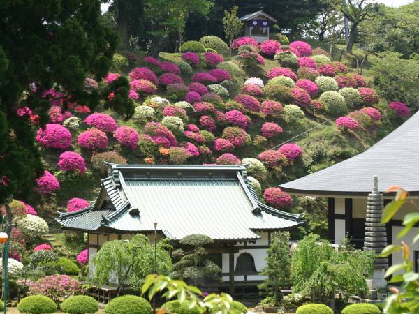 日蓮宗 大本山 清澄寺