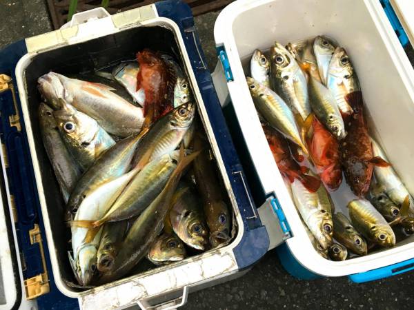 釣り船　第三新生合同丸