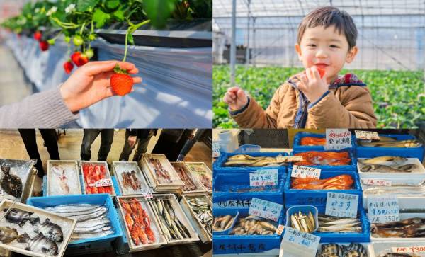 一般社団法人 南房総市観光協会