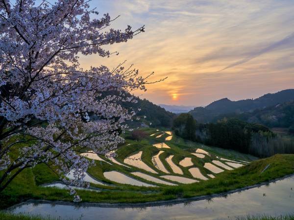 鴨川観光プラットフォーム