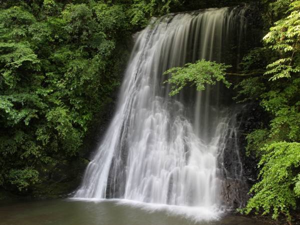 鴨川観光プラットフォーム