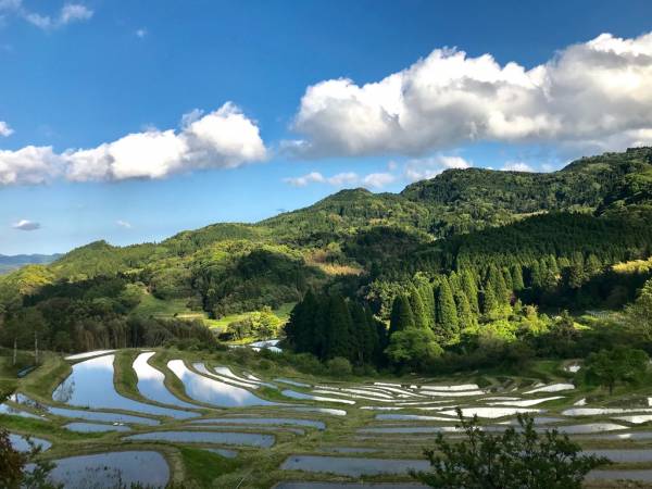 大山千枚田（棚田倶楽部）