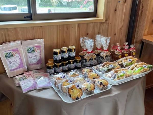 ブルーベリーつみとり園 のらりくらり