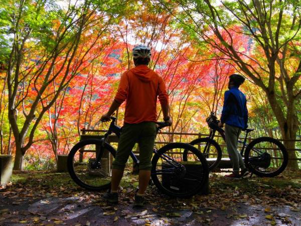 かもちゃり＋（プラス）一般社団法人 ウェルネスポーツ鴨川